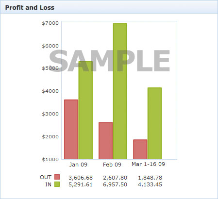 Profit and Loss Statement