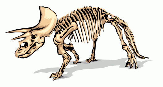 dinosaur_bones