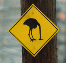 Ostrich Head in the Sand