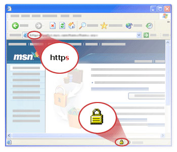 Make sure HTTPS is active when submitting sensitive information on the web.